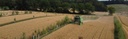 Agroforestry