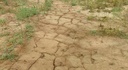 Soil completely dried up