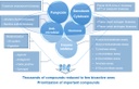 Prioritization strategy