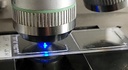 Fluorescence microscopy of immunohistological preparations (1)