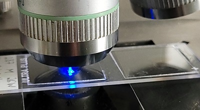 Fluorescence microscopy of immunohistological preparations (1)