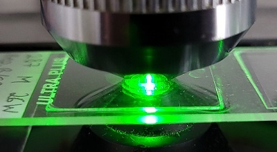Fluorescence microscopy of immunohistological preparations (2)