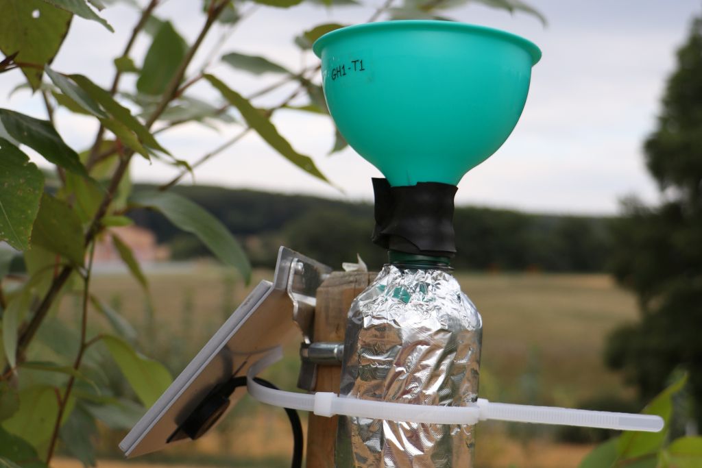 Rainfall collection in German agroforestry system
