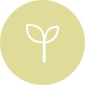 Resource and Production