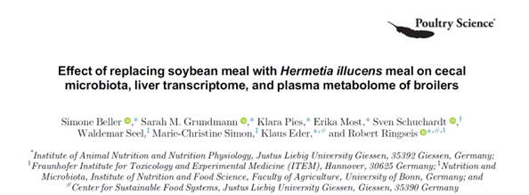 Beller et al. 2024