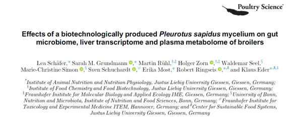 Schäfer et al. 2024b