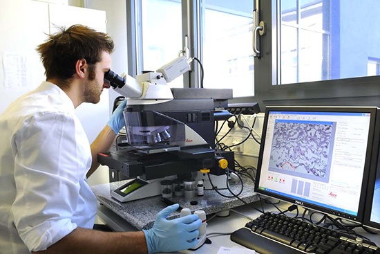 Schwerpunktbereiche A researcher looks into a microscope. A computer next to him displays data.