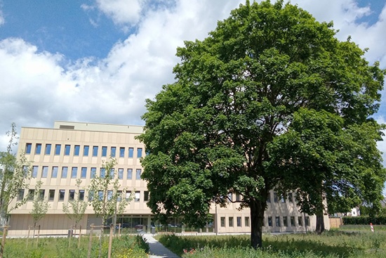 RCSC Gebäude Das Gebäude des RCSC / GCSC. Vor dem Gebäude steht ein großer Baum.