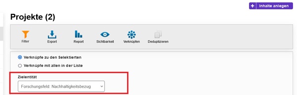 Screenshot mit einem roten Kasten um den Punkt "Zielentität"