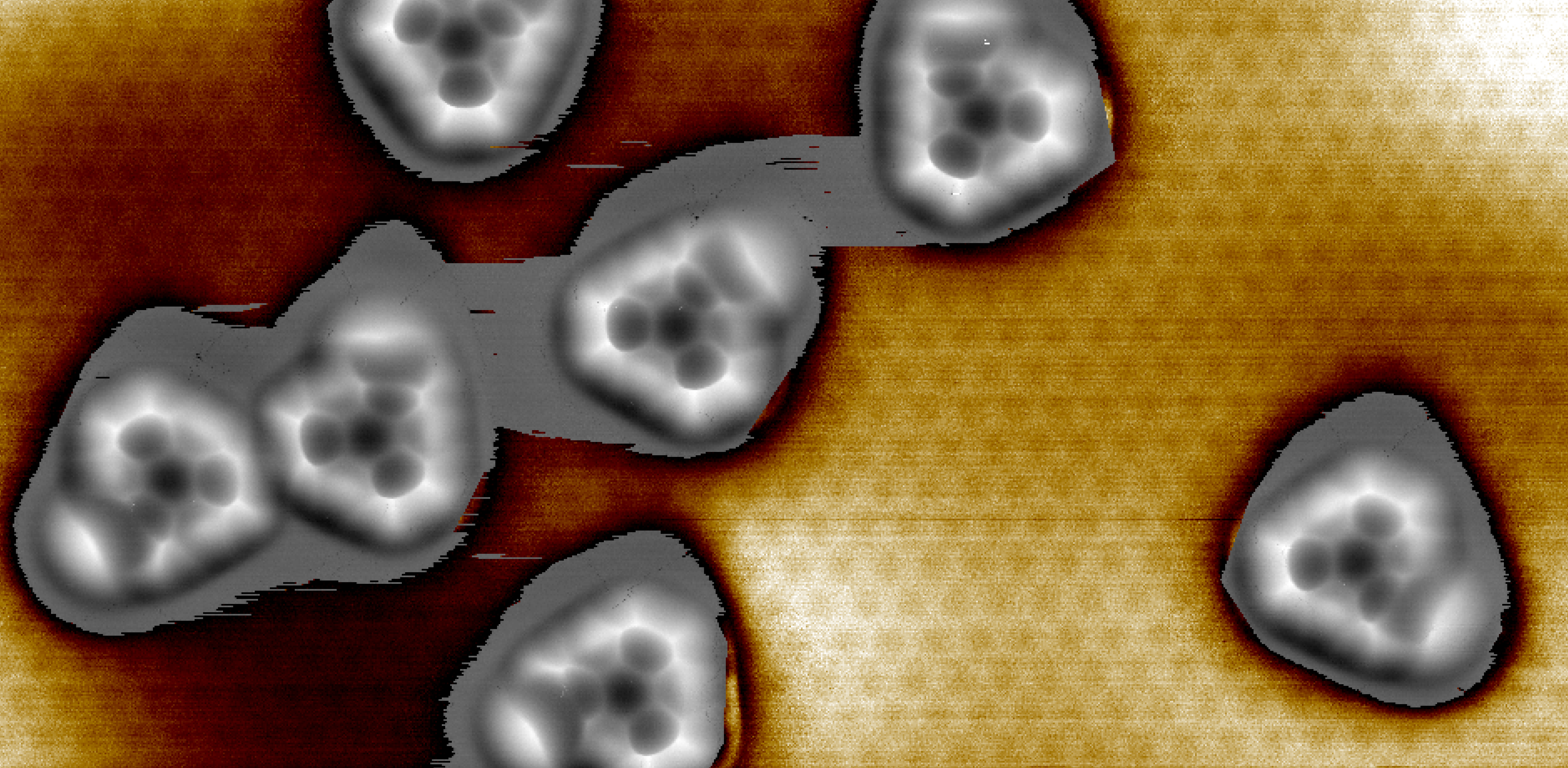 AFM Switch Image for website.png