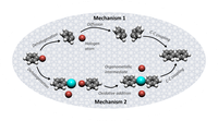 Ullmann coupling mechanism