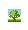 Symbol Bild