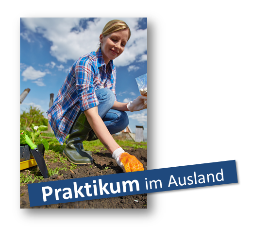 Bild Praktikum im Ausland