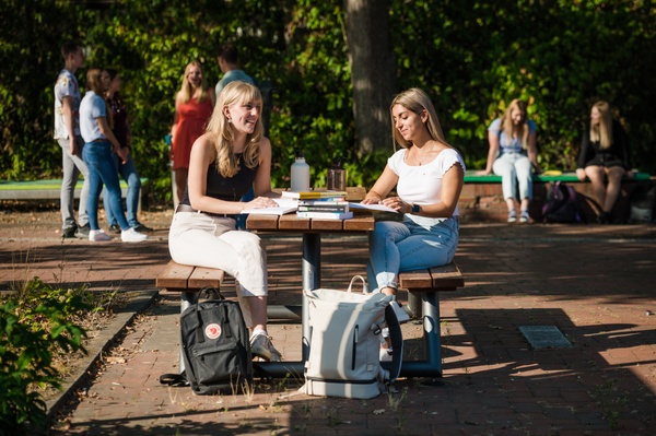 Zurück zu Erasmus+ Dekobild