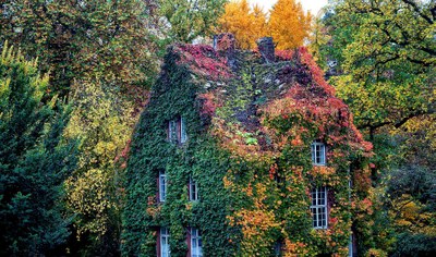 BoGa GruenesHaus Moeller