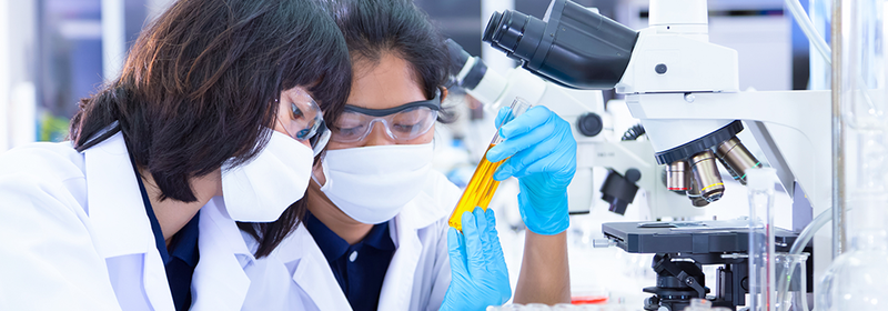 Slider: Biologielaborantinnen bei einem Versuch