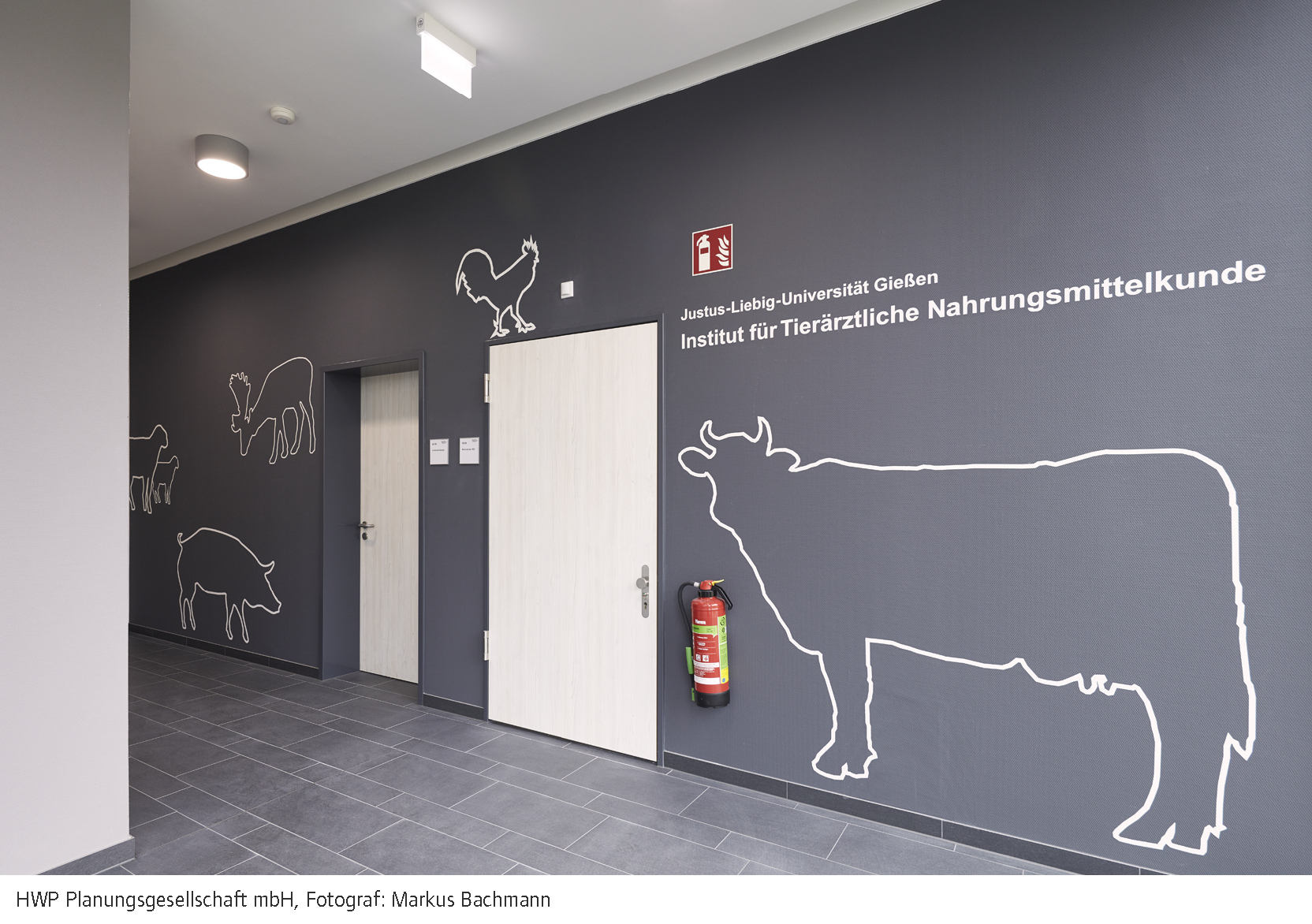 Fleischhygiene_innen.png