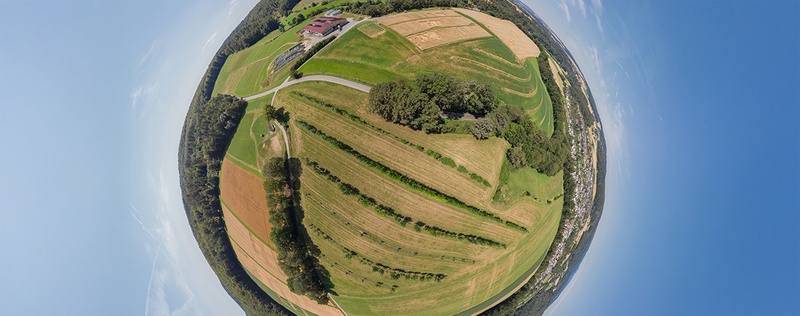 Agroforst - Foto: JLU Till Schuermann