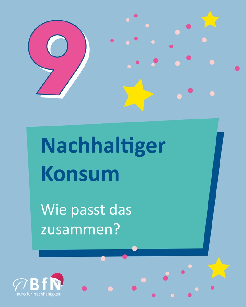 Adventskalender_Tuerchen_9.jpg