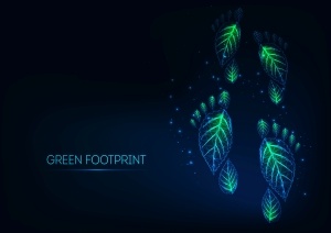 Footprint_COLOURBOX41612425.jpg