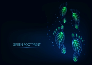 Footprint_COLOURBOX41612425.jpg