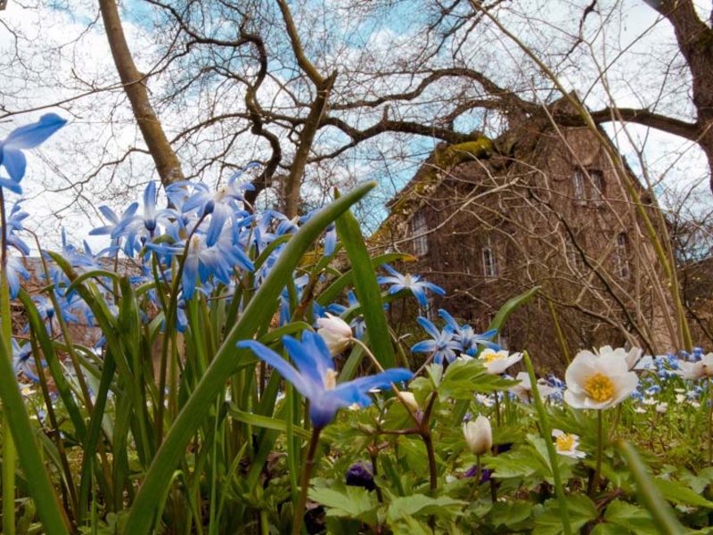Gebäude mit Blumen2.jpg