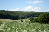 Gladbacherhof_FotoSeidel_02.jpg