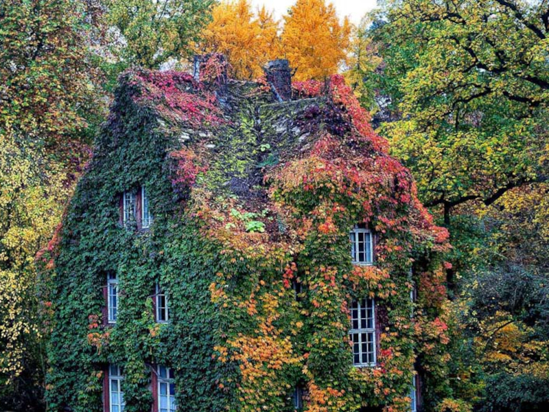Haus_botanischer Garten2.jpg