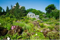 Botanischer Garten_JLU_Katrina Friese.png