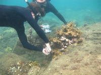 Feldarbeiten des CEMarin