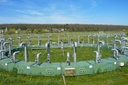 An der Umweltbeobachtungs- und Klimafolgenforschungsstation Linden werden seit 1993 die lokalen Folgen des Klimawandels untersucht (Bild: JLU / Wolfgang Stein)