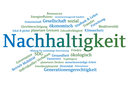 Wortwolke zum Nachhaltigkeitsverständnis (Bild: Wolfgang Polkowski)