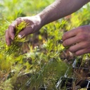 B.Sc. Umwelt und globaler Wandel (Bild: Jochen Gerhardt)