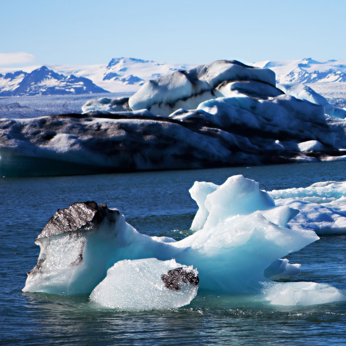 M.Sc. Global Change: Ecosystem Science and Policy (Bild: Michael Zysman / 123rf.com)