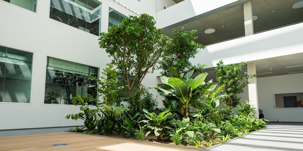 Atrium des Fraunhofer-Instituts für Bioressourcen (Bild: JLU / Katrina Friese)