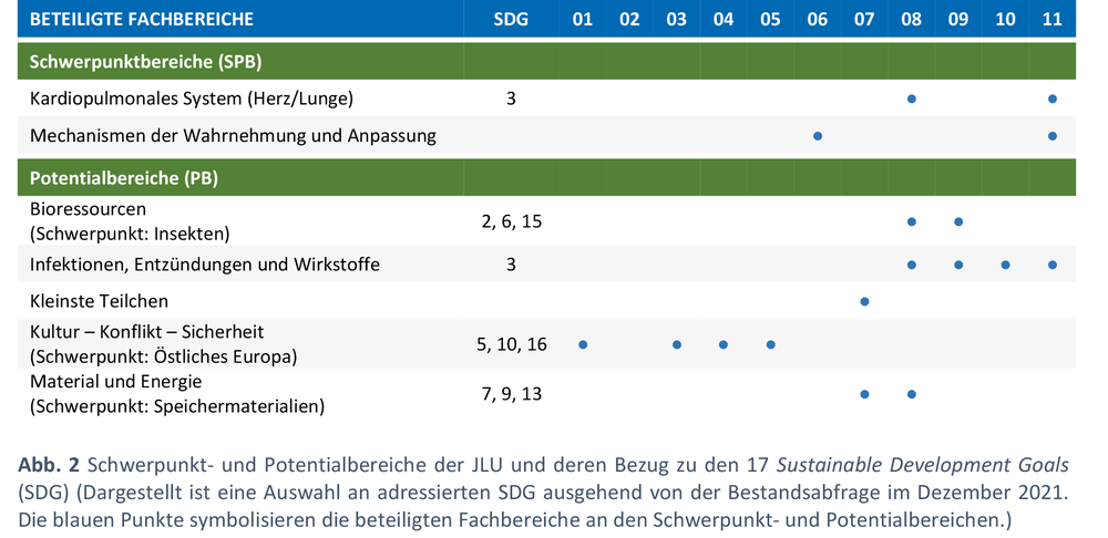 Schwerpunkt- und Potentialbereiche der JLU.png