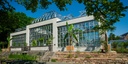 Das kürzlich renovierte Palmenhaus im Botanischen Garten (Foto: JLU / Katrina Friese)