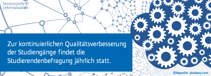 QS Befragungen