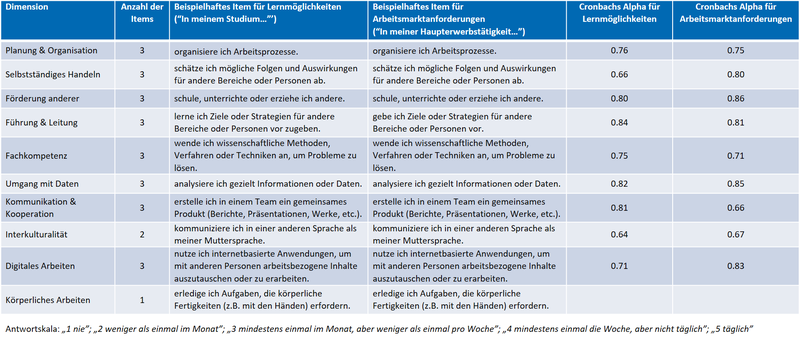 SkALe Bild Instrument Beispielitems mit Conbachs Alpha.png