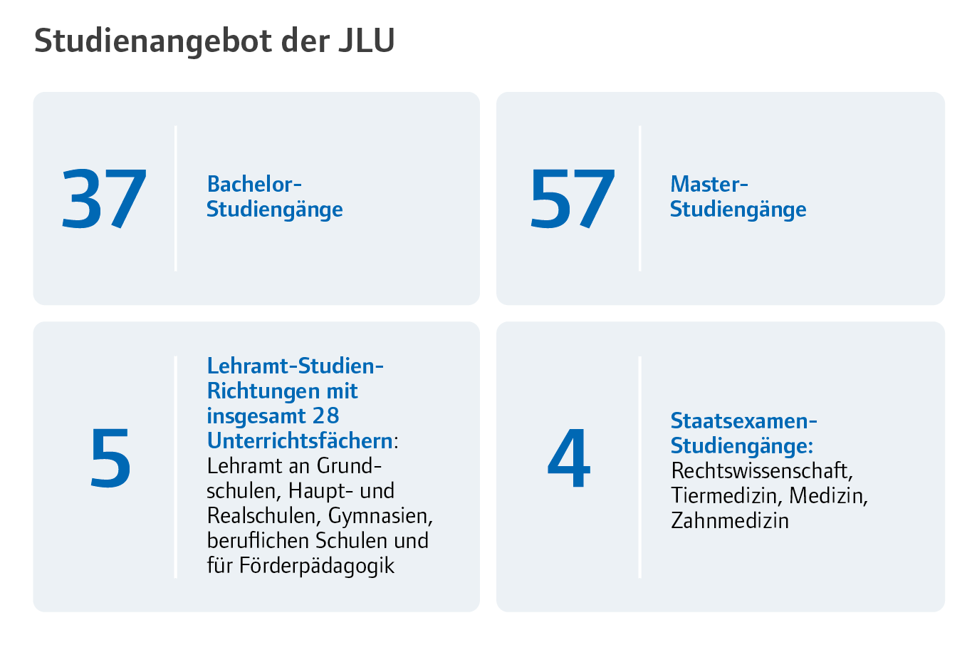 Studienangebot