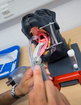INTUBATION_ICON2.jpg