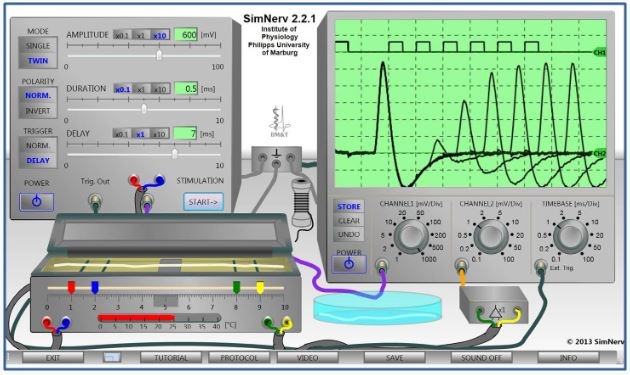 SimNerv