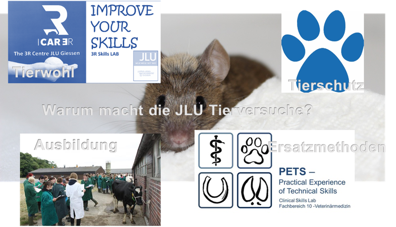 landingpicture2.png