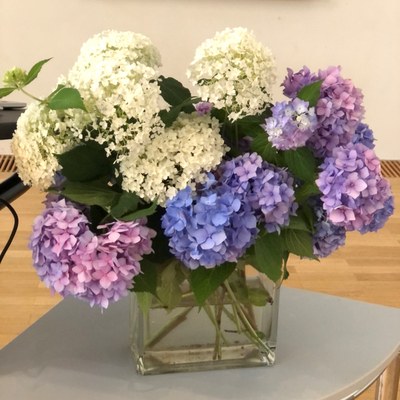 Blumen groß.jpg