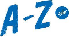 A-Z zum Studienbeginn | by Ben Kahl / JLU