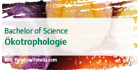Linkbild: Ökotrophologie