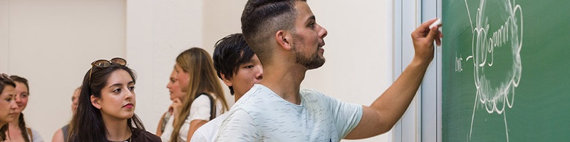 Lehramtsstudiengänge