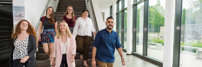 Neue Studiengänge