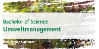 Linkbild: Umweltmanagement