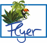 Workshop: Studienwahl / Flyerbild